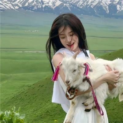 大明星醒目狗