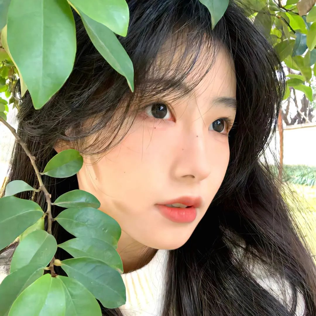 天若有情粤语